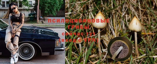 прущая мука Арсеньев